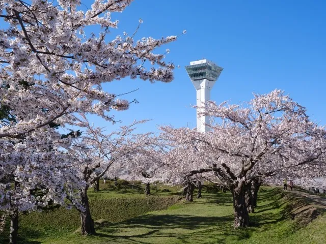 桜前線2024とあわせてチェック！ 北海道のおすすめ桜づつみスポット！【北海道　民泊　管理】