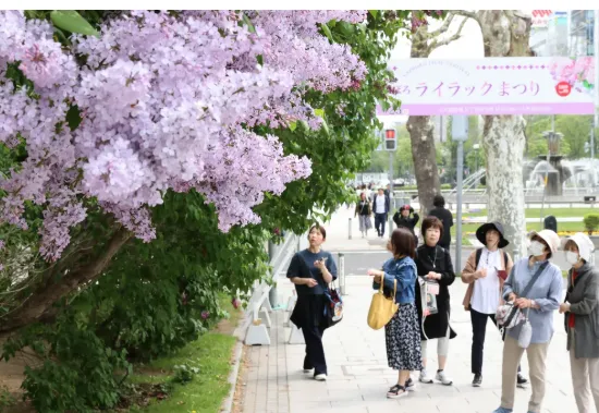 札幌の春を満喫！ライラックまつりと楽しむ【民泊　運営代行　北海道】