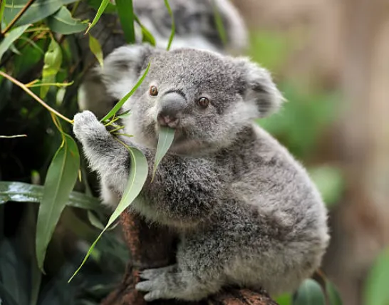 【北海道の民泊運営】小学生の受賞プランに学ぶ！【民泊　運営代行　管理　札幌】