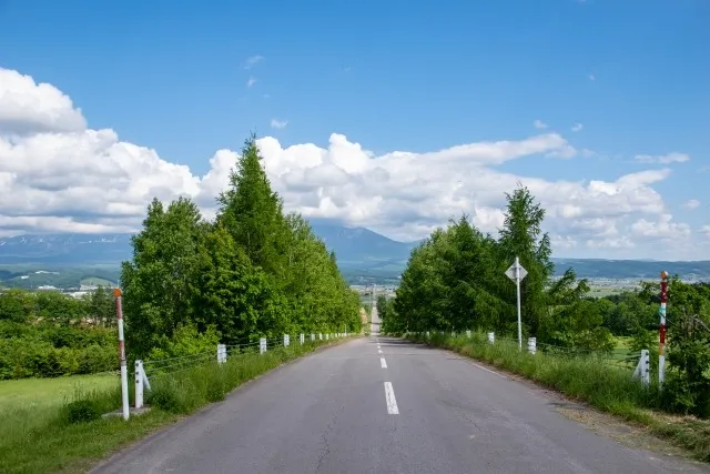 4月の北海道：あえて「イベントがない」贅沢を。静寂と日常を所有する大人の民泊ガイド 【札幌　民泊　管理】