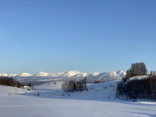 北海道民泊の新星：十勝エリアの盛り上がりと「予測不能な魅力」が拓く未来